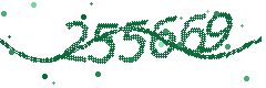 Security verification code