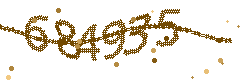 Security verification code