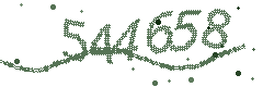 Image with the verification code