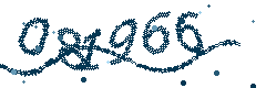 Image with the verification code
