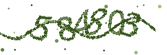 Image with the verification code