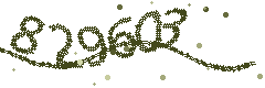 Image with the verification code