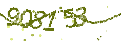 Image with the verification code