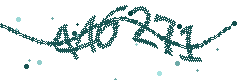 Security verification code