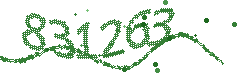 Image with the verification code