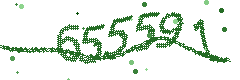 Image with the verification code