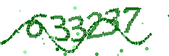 Image with the verification code