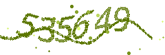 Image with the verification code
