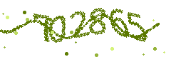 Image with the verification code