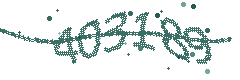 Security verification code