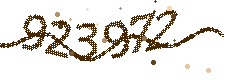 Image with the verification code