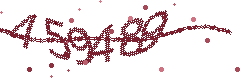 Security verification code