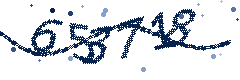 Image with the verification code