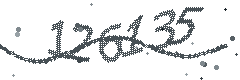 Image with the verification code