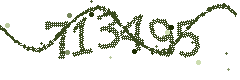 Image with the verification code