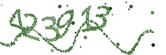 Image with the verification code