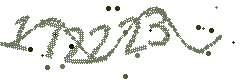 Image with the verification code