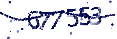 Security verification code