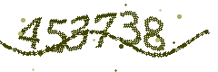 Image with the verification code
