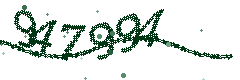Security verification code