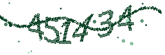 Image with the verification code