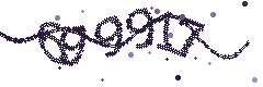 Security verification code
