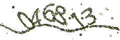 Image with the verification code