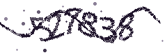 Image with the verification code