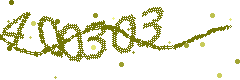 Image with the verification code