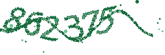 Image with the verification code