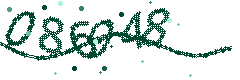 Image with the verification code