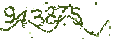 Image with the verification code