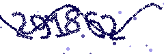 Security verification code