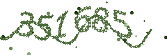 Security verification code