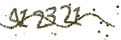 Image with the verification code