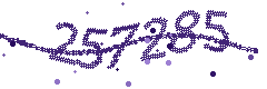 Image with the verification code