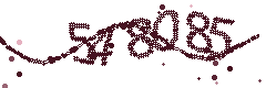 Image with the verification code