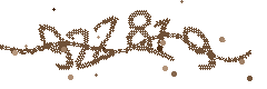 Image with the verification code