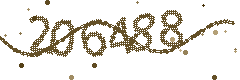 Security verification code