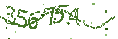 Image with the verification code