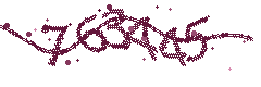 Security verification code