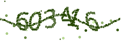 Security verification code