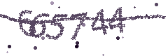 Image with the verification code
