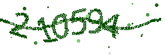 Security verification code