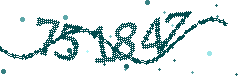 Security verification code