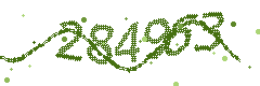 Image with the verification code
