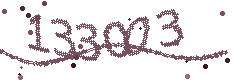 Security verification code