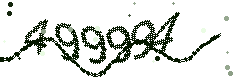 Image with the verification code