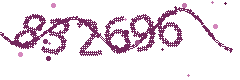 Image with the verification code