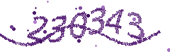 Image with the verification code